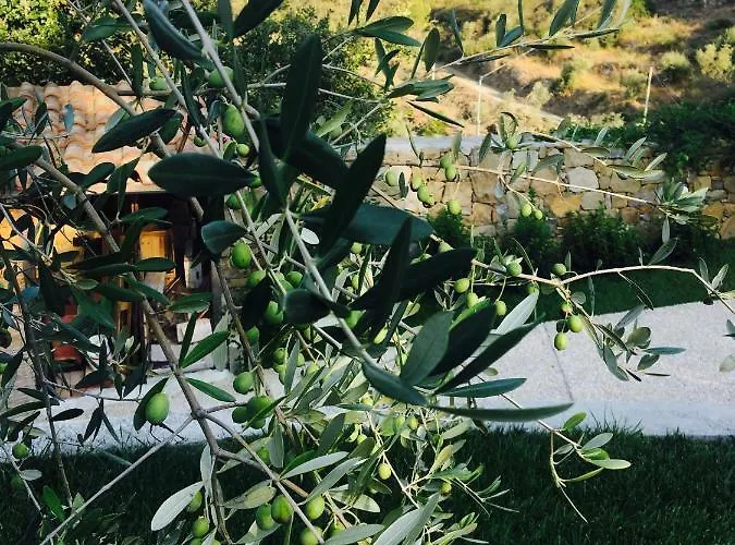 Normanna دولشياكا