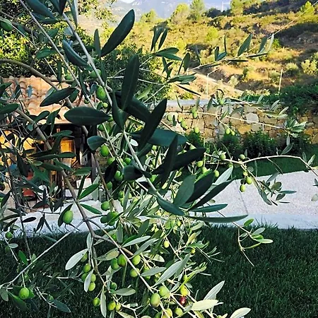 Normanna Bed and Breakfast Dolceacqua