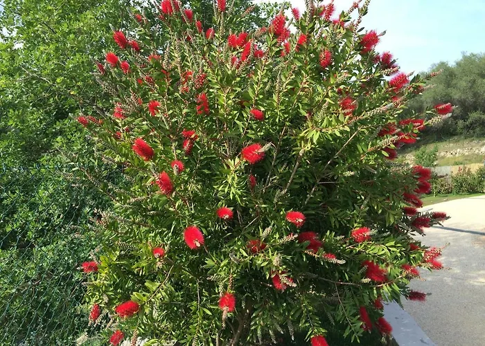 Normanna Bed and breakfast 4*